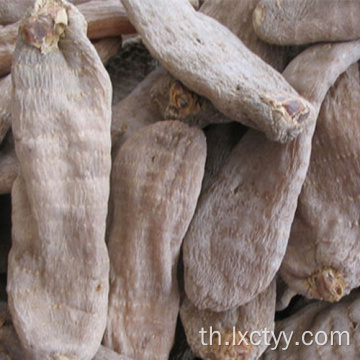 ขายร้อน Gastrodia elata Blume อาหาร